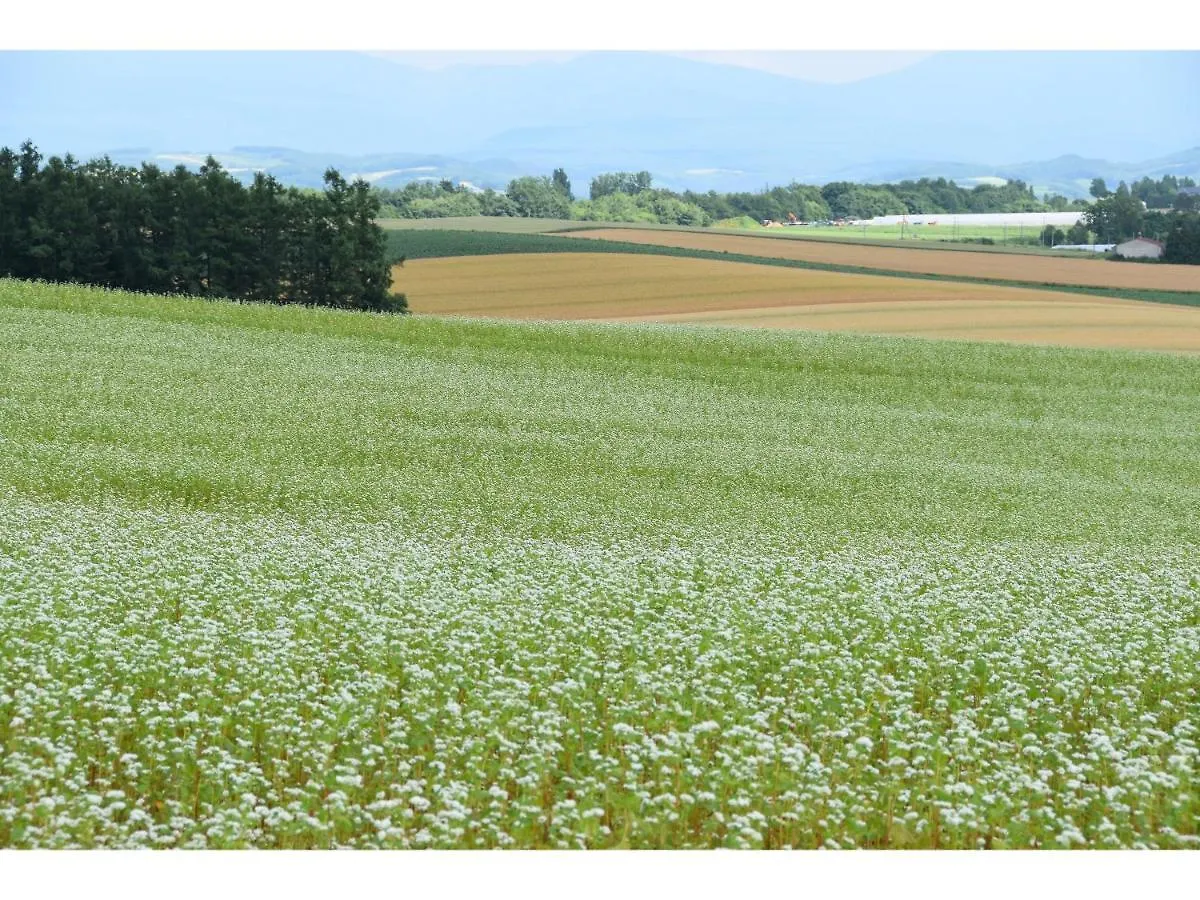 中富良野町 花藤旅馆酒店